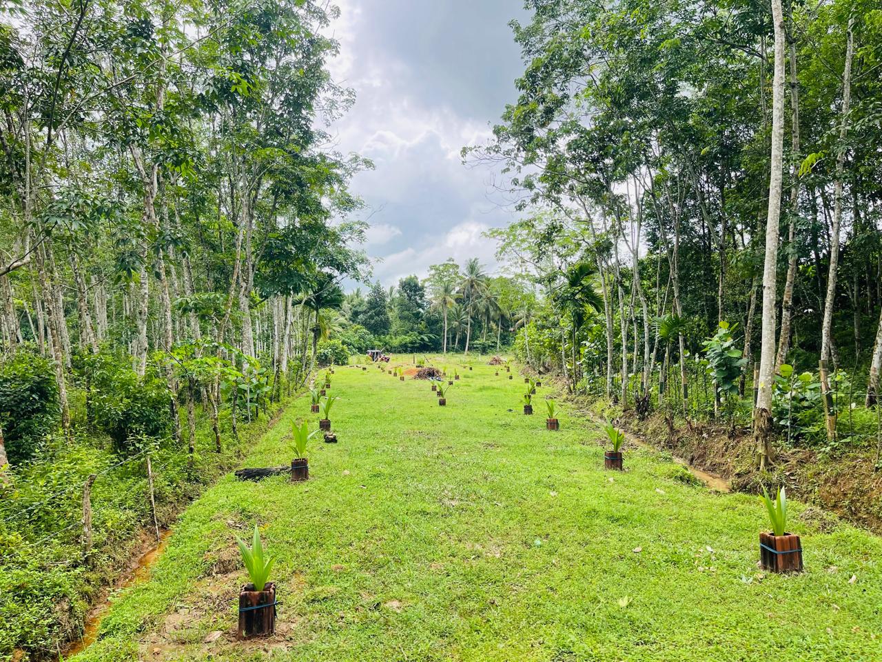 Land for Sale in Aluthgama