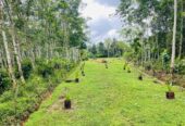 Land for Sale in Aluthgama