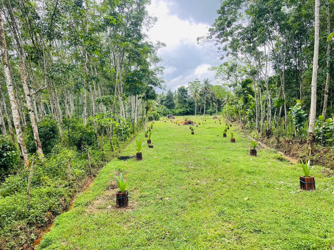 Land for Sale in Aluthgama