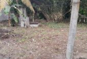 Land for Sale Ragama