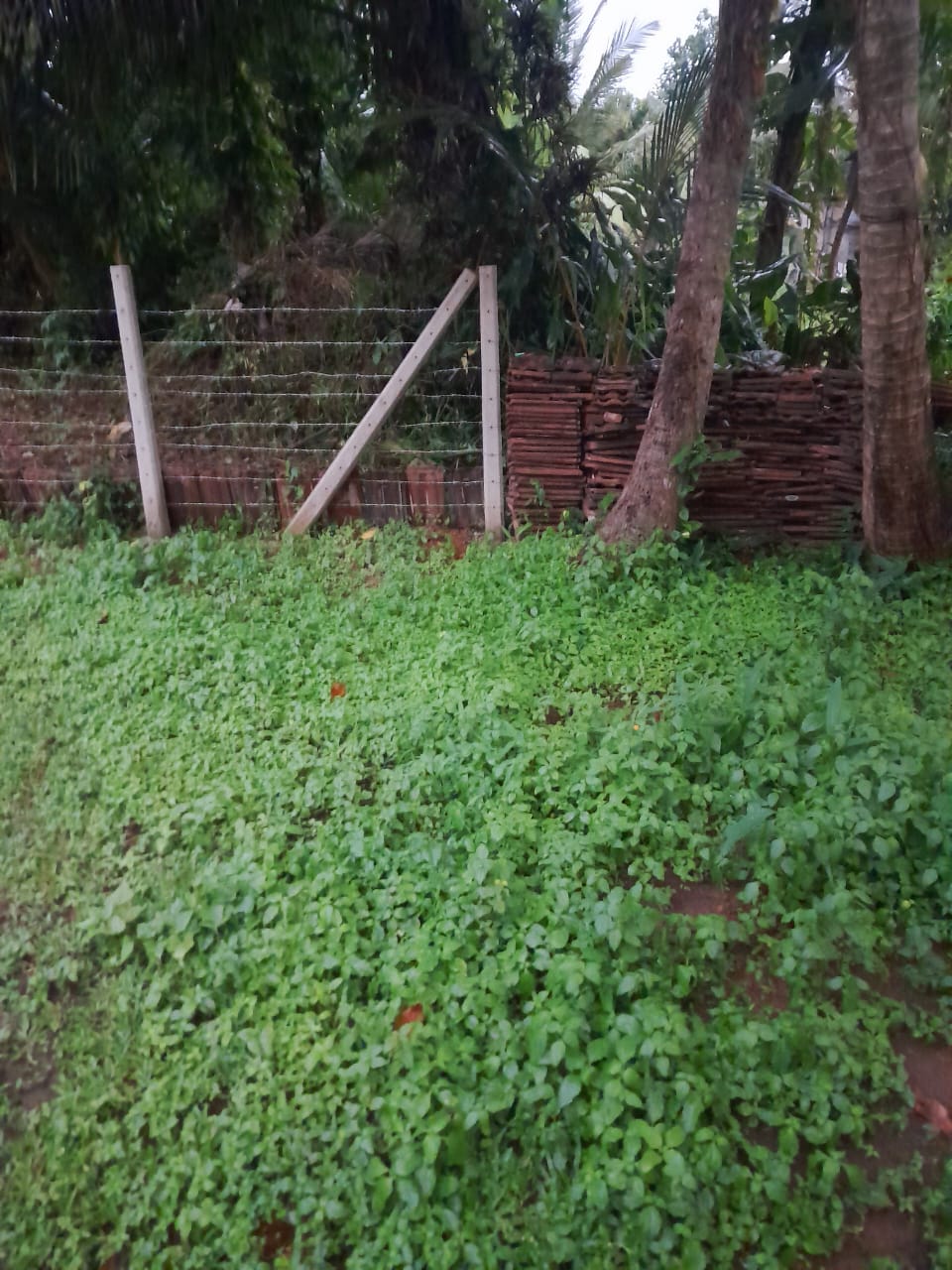 Land for Sale Ragama