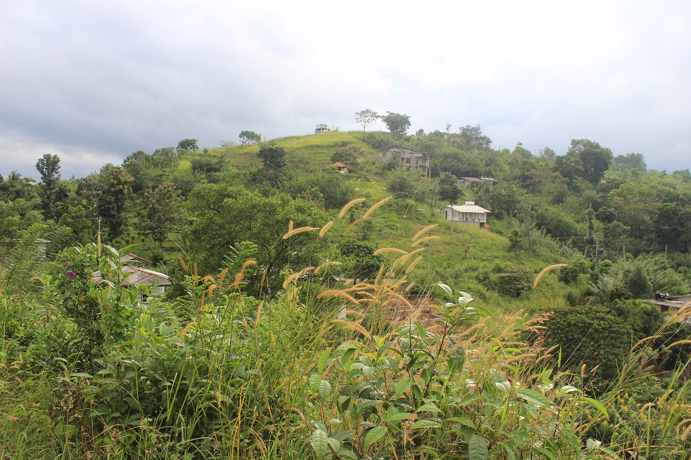 Land Sale in Wariyagala