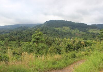 Land Sale in Wariyagala