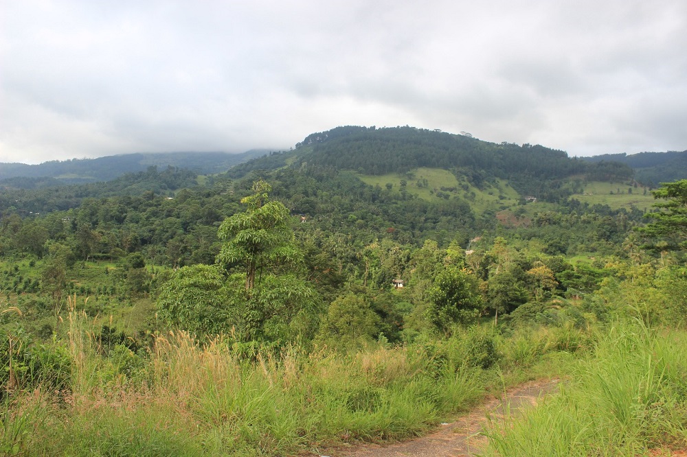 Land Sale in Wariyagala