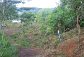 Land Sale in Wariyagala