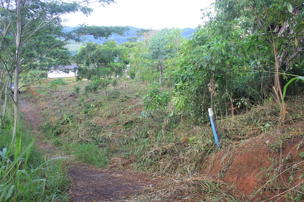 Land Sale in Wariyagala