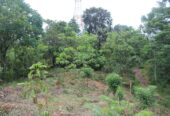 Land Sale in Wariyagala