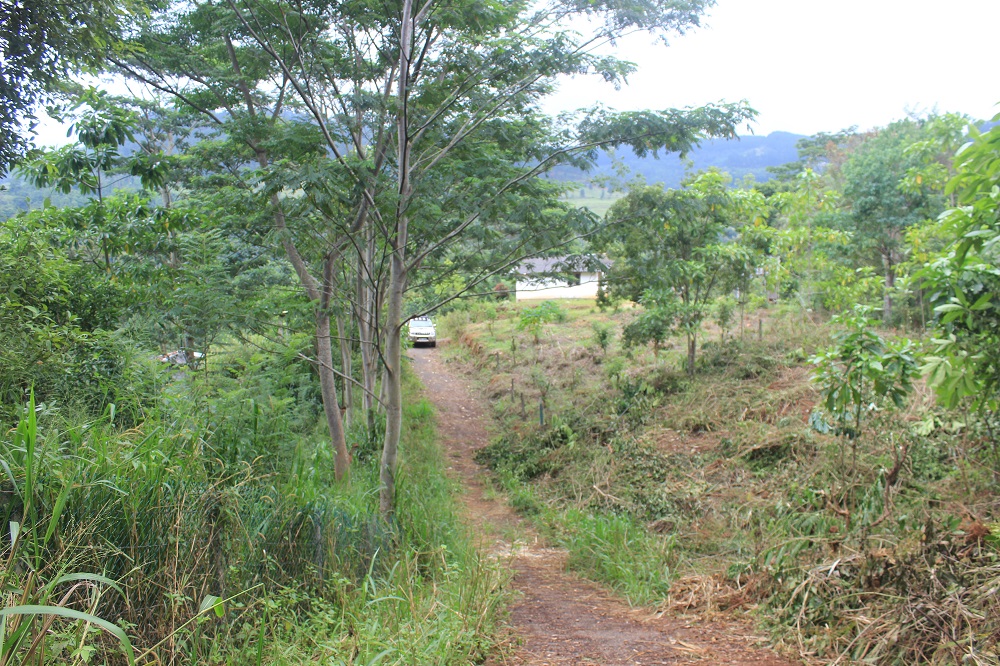 Land Sale in Wariyagala