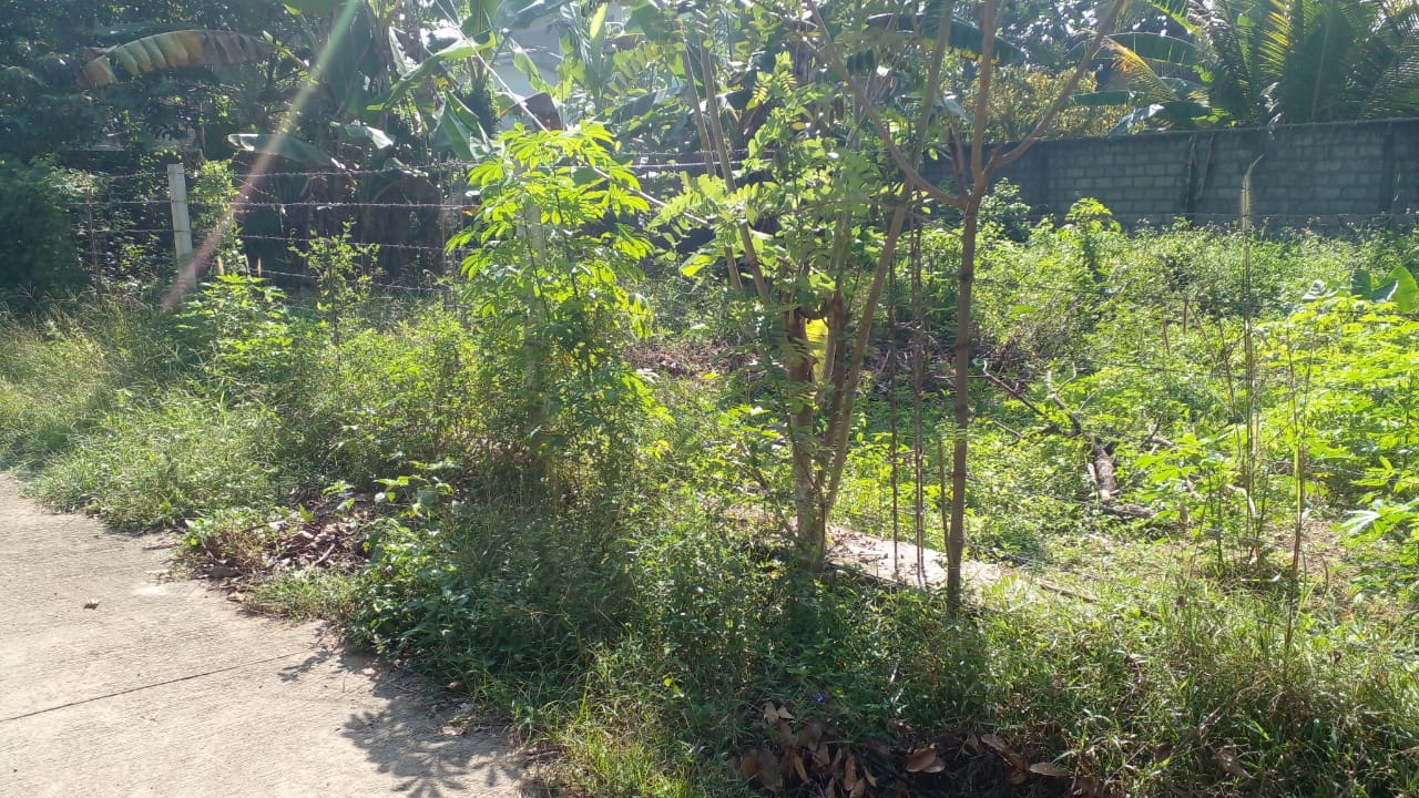Land for Sale in Nugagoda (Kalutara) Just 900m to Main Road!