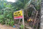 Land for Sale in Nugagoda (Kalutara) Just 900m to Main Road!