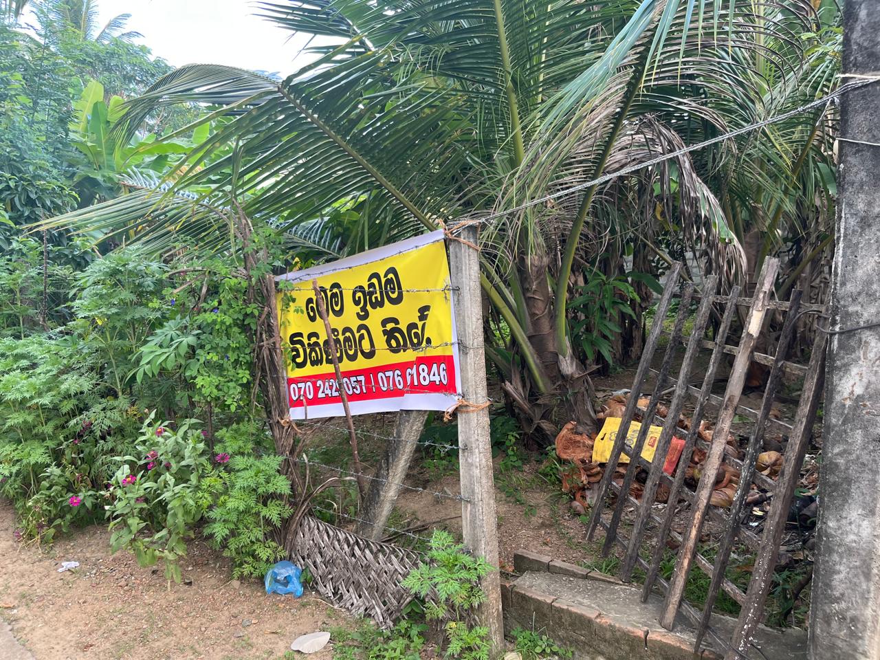Land for Sale in Nugagoda (Kalutara) Just 900m to Main Road!