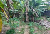 Land for Sale in Nugagoda (Kalutara) Just 900m to Main Road!