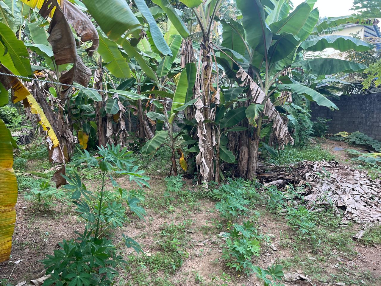 Land for Sale in Nugagoda (Kalutara) Just 900m to Main Road!