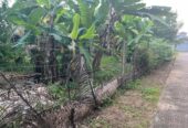 Land for Sale in Nugagoda (Kalutara) Just 900m to Main Road!