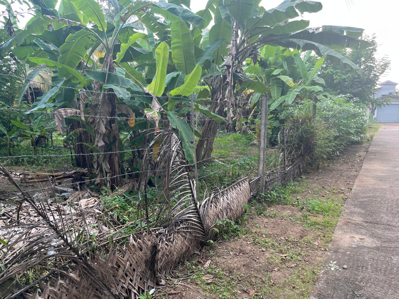 Land for Sale in Nugagoda (Kalutara) Just 900m to Main Road!