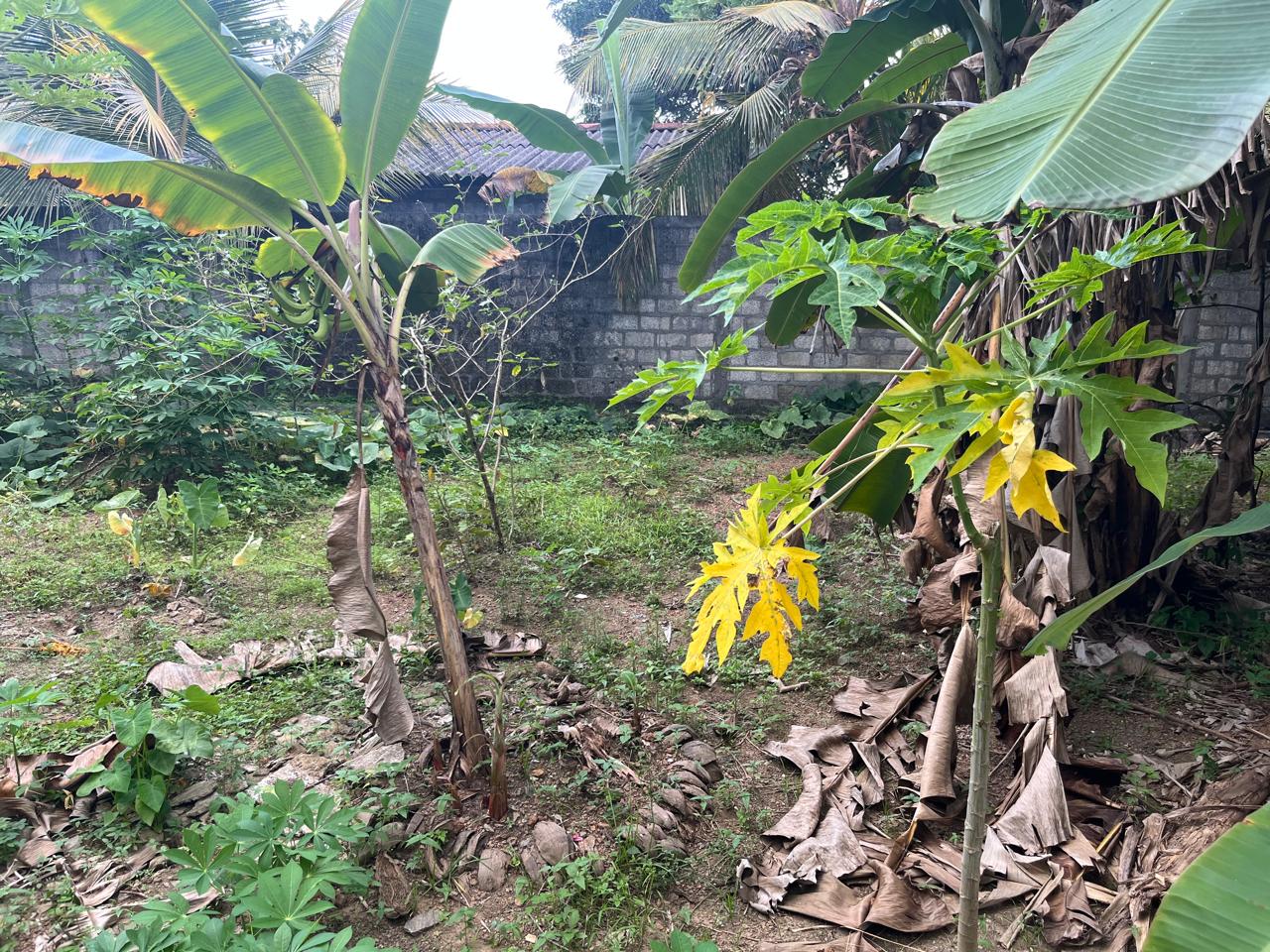 Land for Sale in Nugagoda (Kalutara) Just 900m to Main Road!