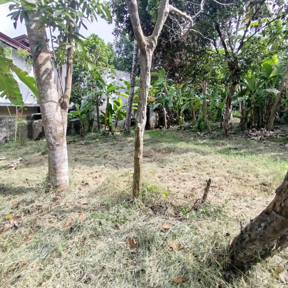 Prime Residential Land for Sale Kadawatha