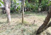Prime Residential Land for Sale Kadawatha