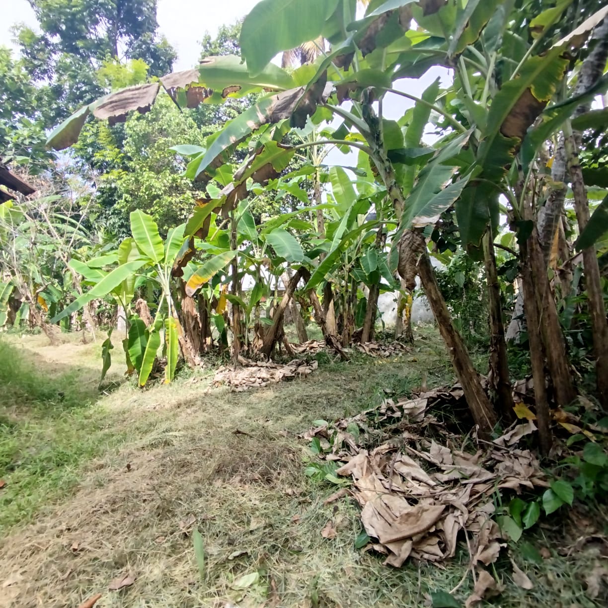 Prime Residential Land for Sale Kadawatha