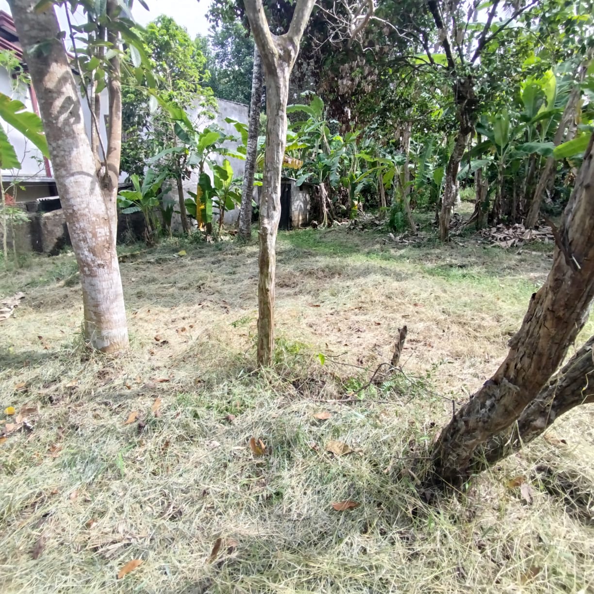 Prime Residential Land for Sale Kadawatha