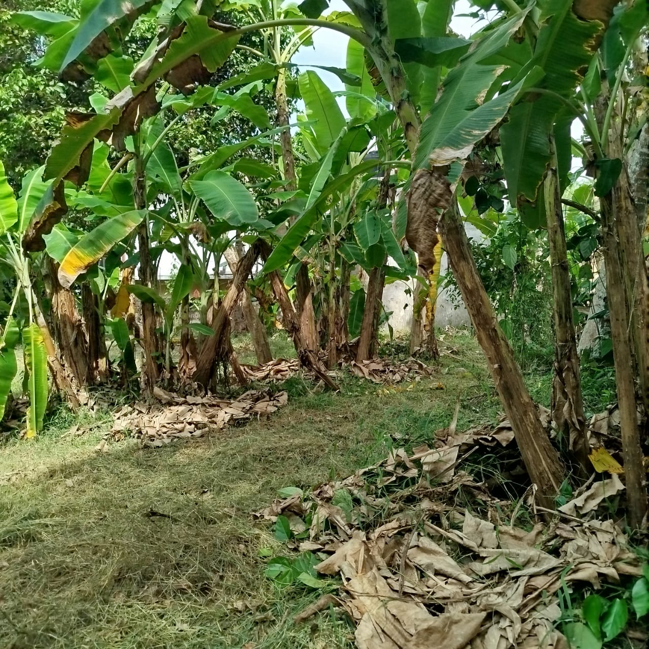 Prime Residential Land for Sale Kadawatha