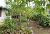 House for Sale in Maharagama Near Keels Super