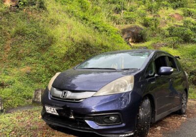 Honda Fit Shuttle 2014