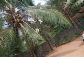 House With Land for Sale in Veyangoda