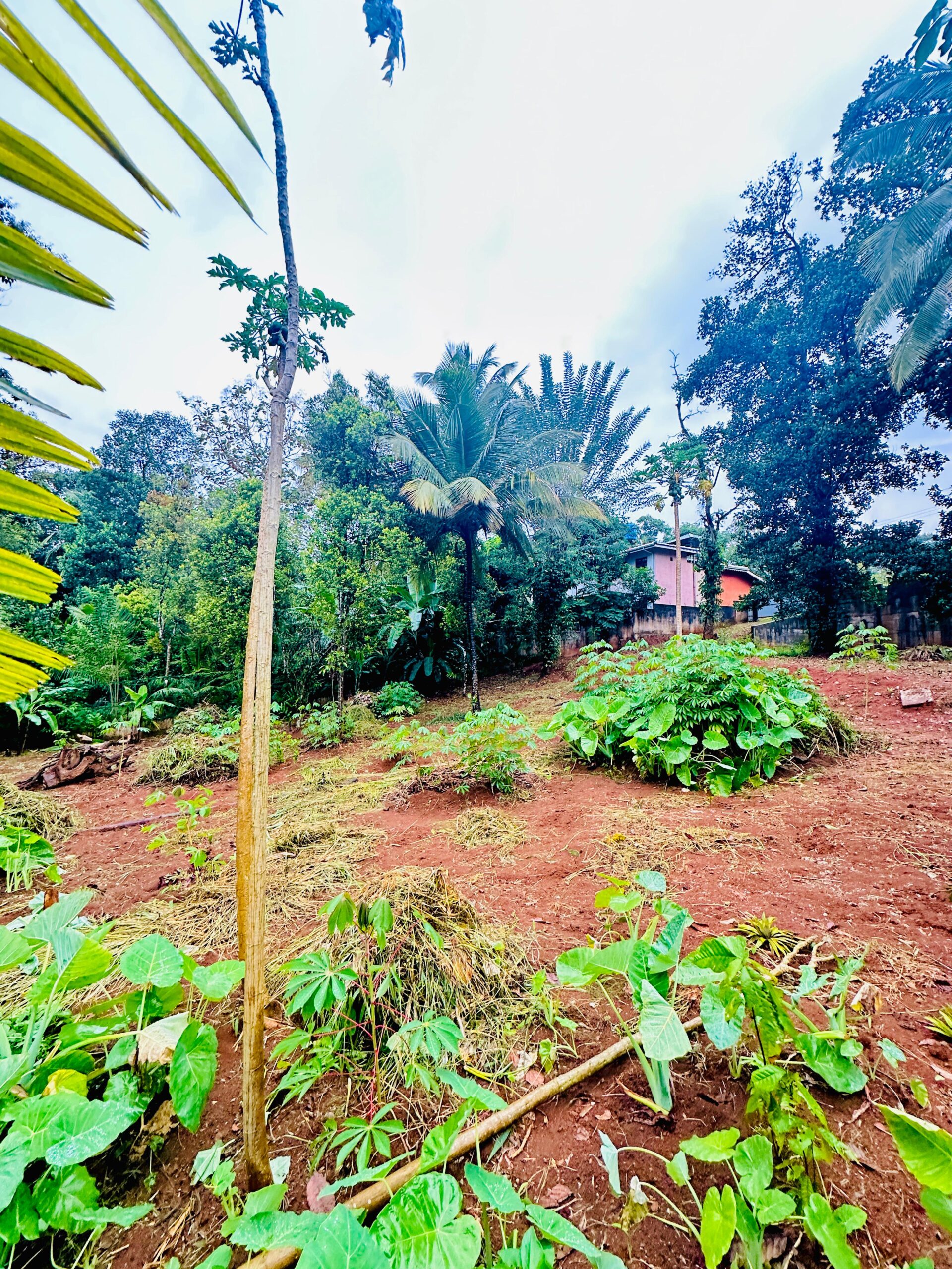 Land with House for Sale in Gampola