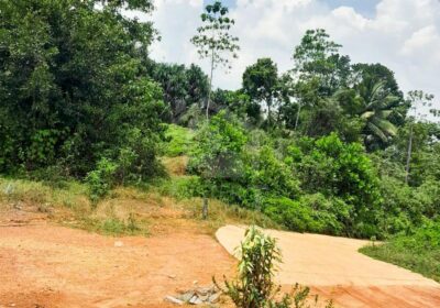 ඉඩමක් විකිණිමට කලුතර