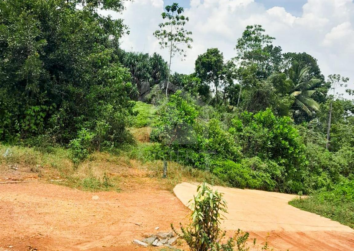 ඉඩමක් විකිණිමට කලුතර