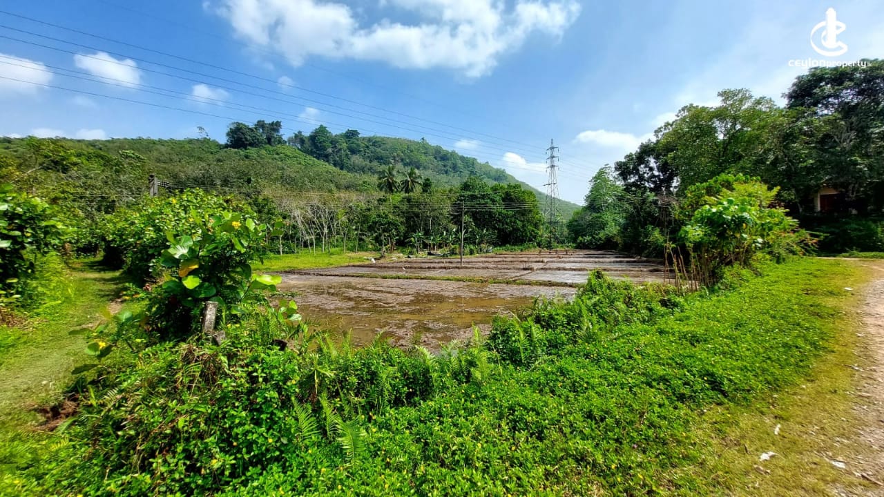 ඉඩමක් විකිණිමට කලුතර