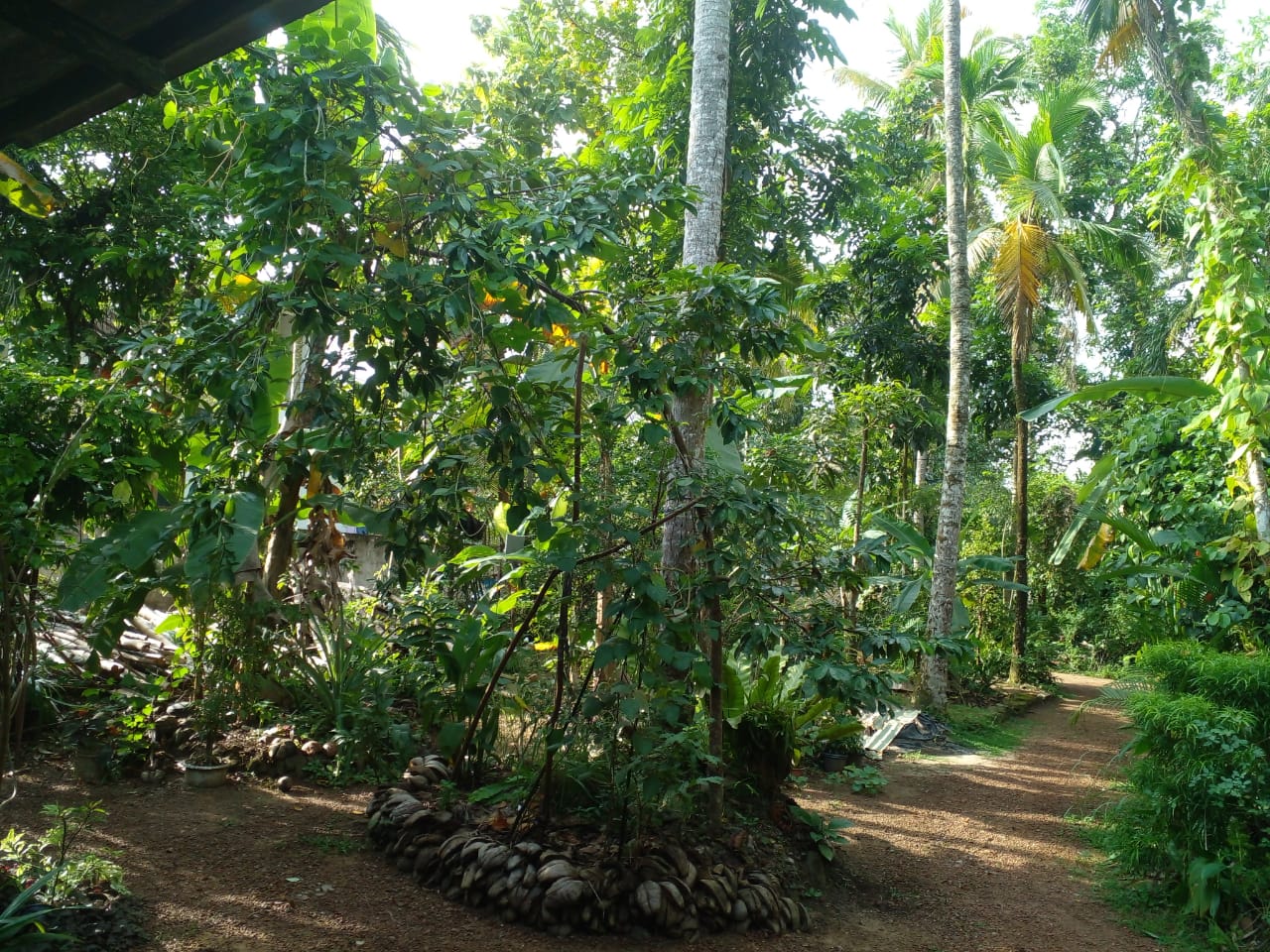 ඉඩමක් විකිණීමට ඇත – බණ්ඩාරගම