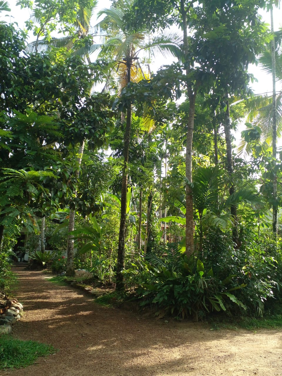 ඉඩමක් විකිණීමට ඇත – බණ්ඩාරගම