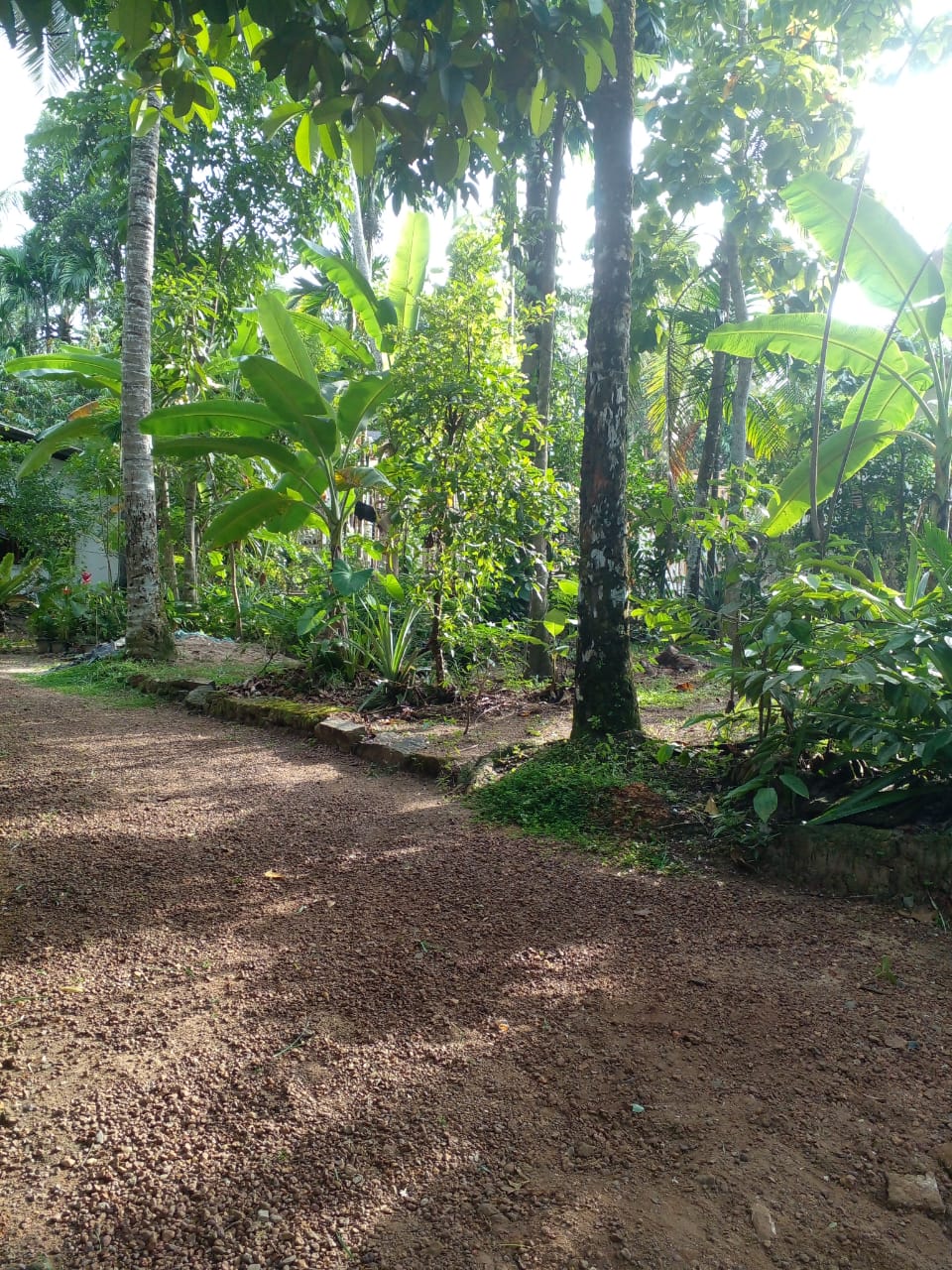 ඉඩමක් විකිණීමට ඇත – බණ්ඩාරගම