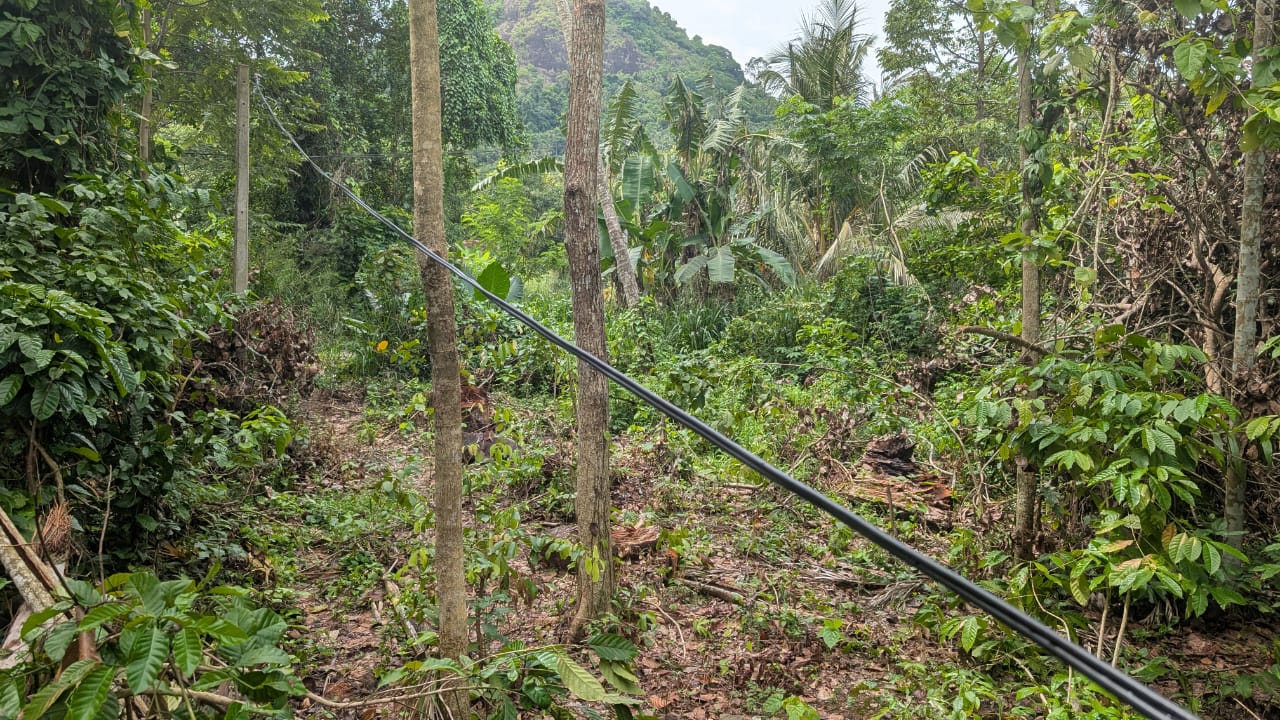 පිලැස්සෙන් අගනා ඉඩම් කැබැල්ලක්