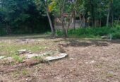 කටුනායක කිඹුලපිටිය හරි හතරැස් ඉඩමක් විකිණීමට