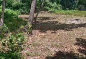 කටුනායක කිඹුලපිටිය හරි හතරැස් ඉඩමක් විකිණීමට