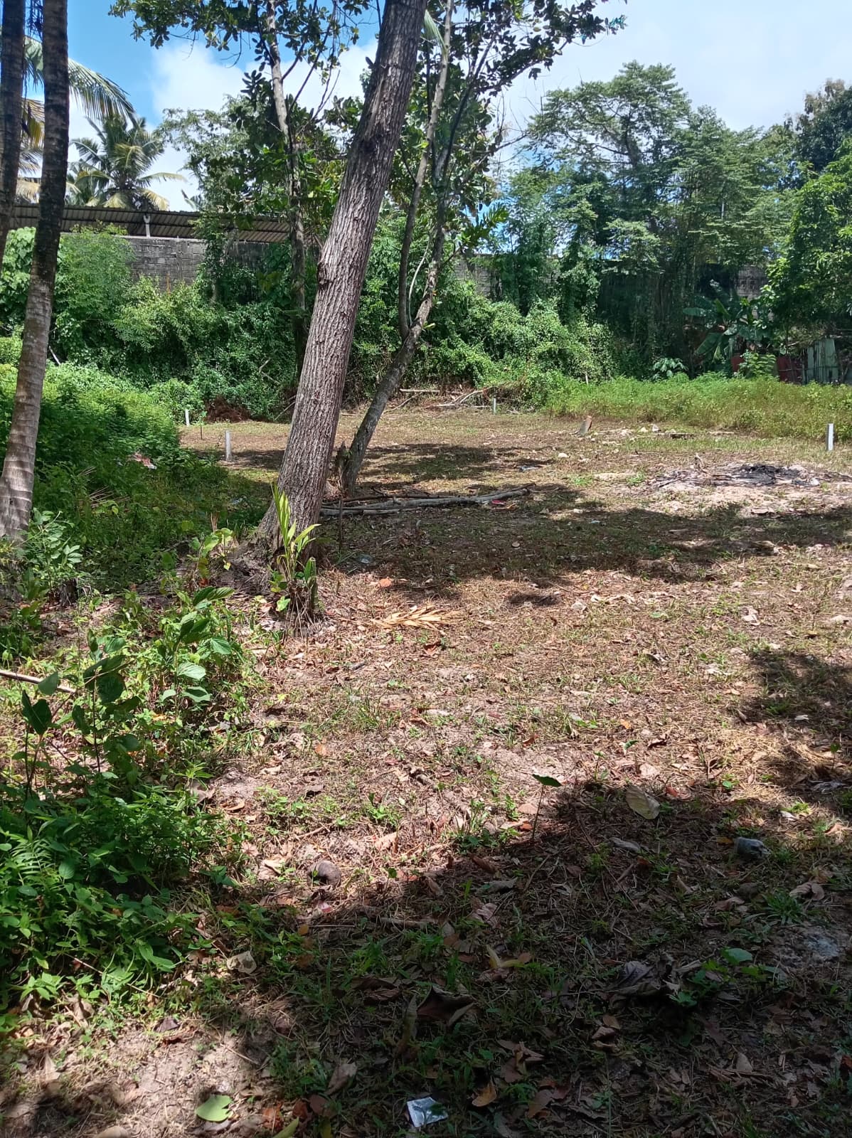 කටුනායක කිඹුලපිටිය හරි හතරැස් ඉඩමක් විකිණීමට