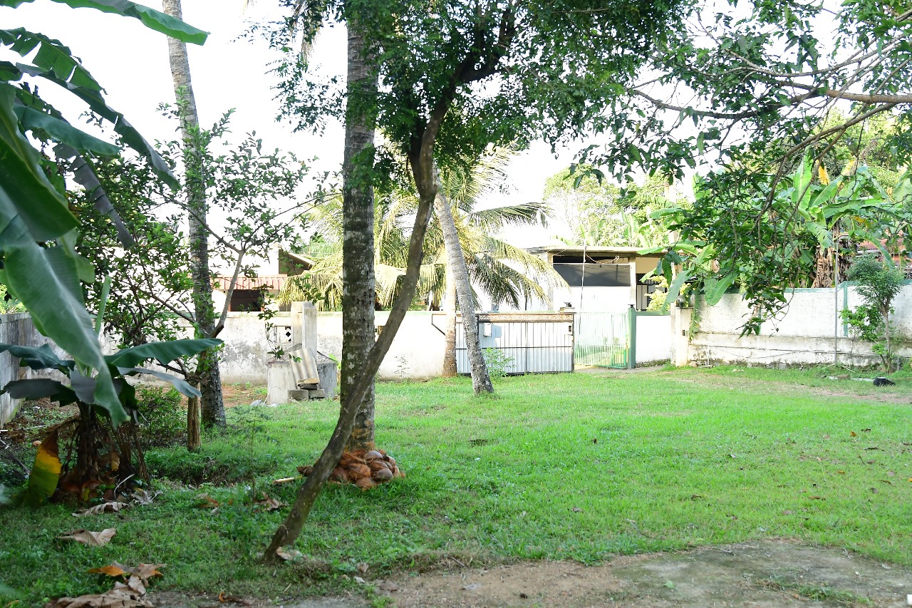 House for Sale Kiribathgoda