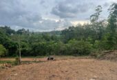 12.89 Perches Land for Sale Bandaragama
