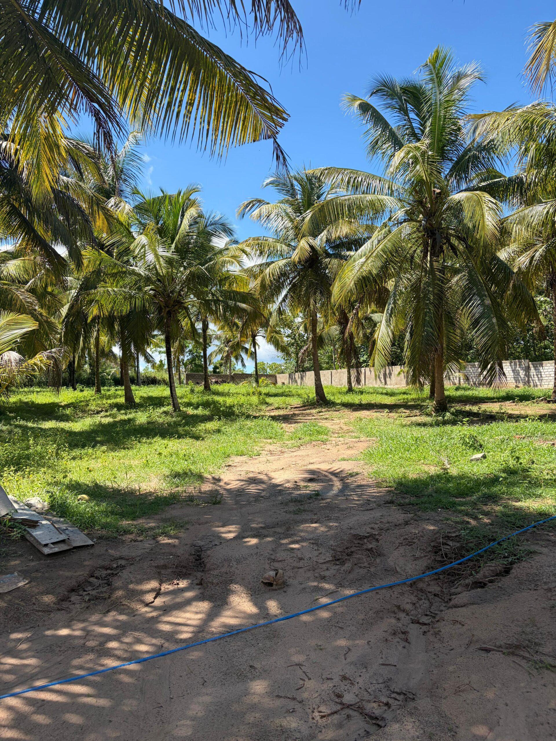 Residential Land for Sale Netolpitiya