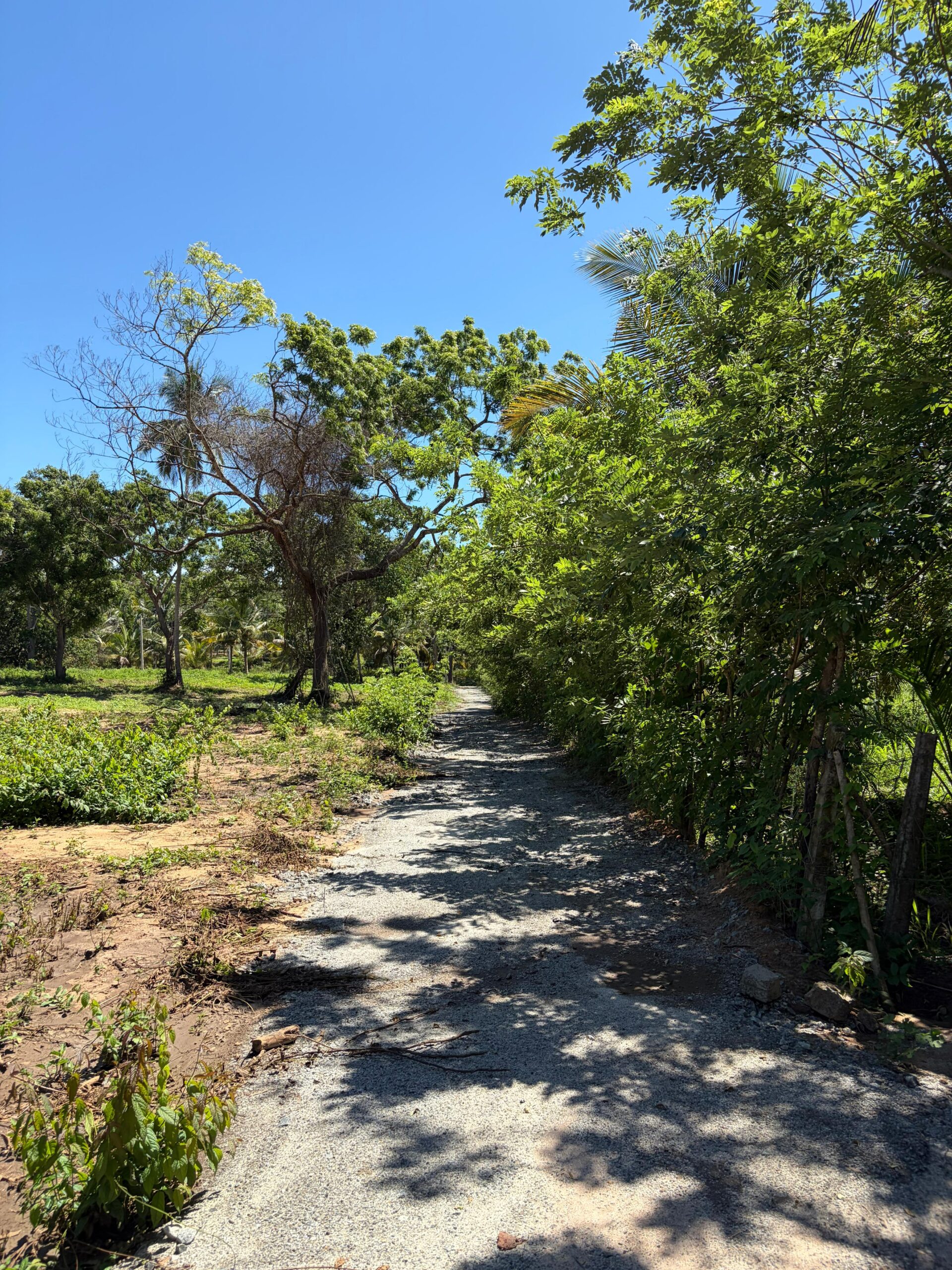 Residential Land for Sale Netolpitiya