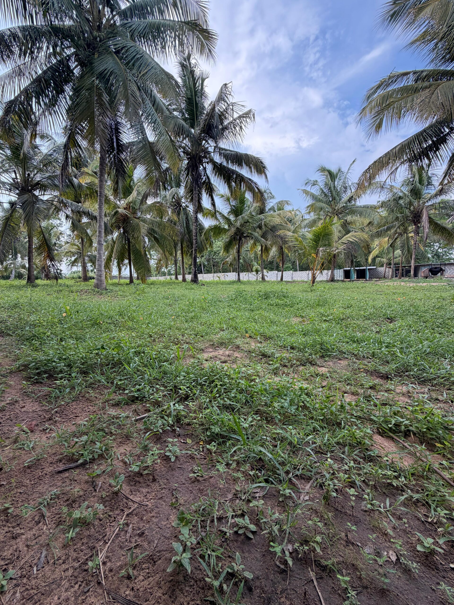 Residential Land for Sale Netolpitiya
