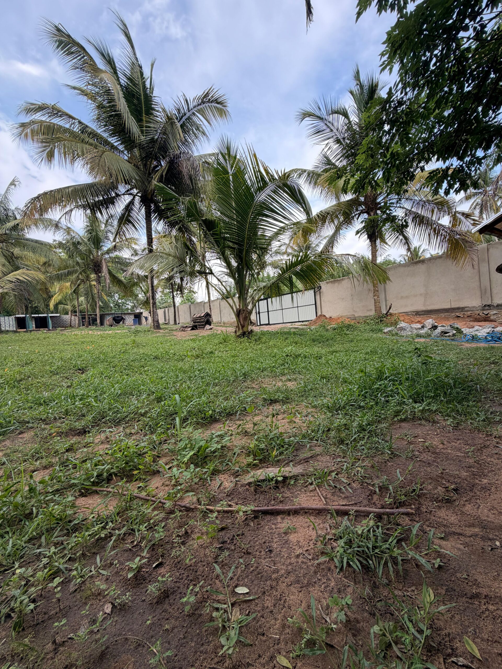 Residential Land for Sale Netolpitiya