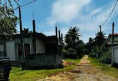 Land for Sale in Panadura