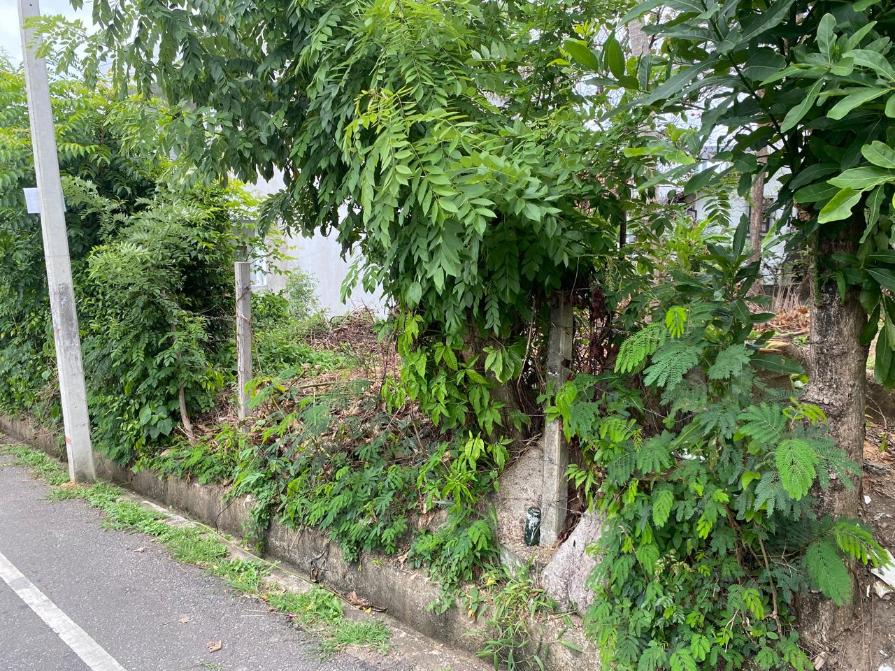 Land for Sale Baddagana Road Pitakotte