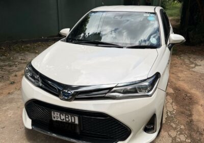 Toyota Axio 2018 WXB