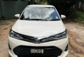Toyota Axio 2018 WXB