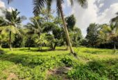 Land for Sale in කුරුණෑගල